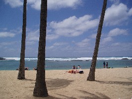 �h�[���E�v����1