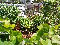 �s���_��1