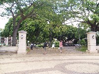 �n���C��w�P