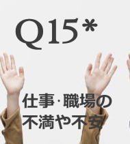 Q15*仕事・職場の不満や不安