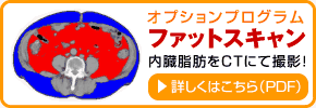 オプションプログラム ファットスキャン 内臓脂肪をCTにて撮影！詳しくはこちら（PDF）