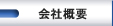 ЊTv