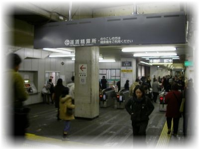 ���A���l�w�̉��D�B