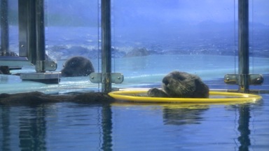 image002