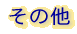 ���̑�