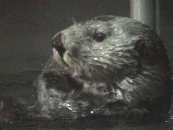 20020505-3.JPG