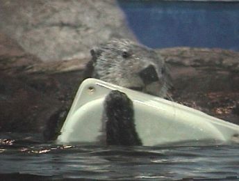20020505-2.JPG