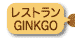 XgGINKGO