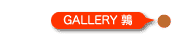 GALLERYG