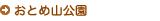 ƂߎR