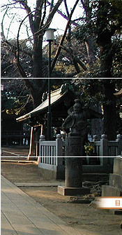 Sq_