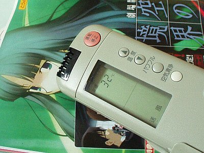 昨年よりちょっと遅い