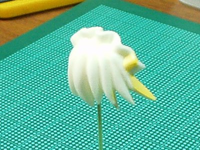 ピントが合わないのはどうしてなんだぜ?