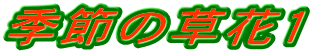 �G�߂̑���1
