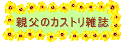�e���̃J�X�g���G��