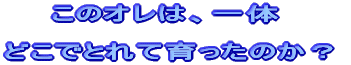 幼少時代