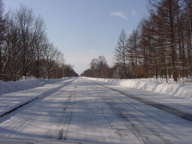 ��̓����W�T����