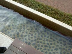 �N���C�A����܁[���I�i��