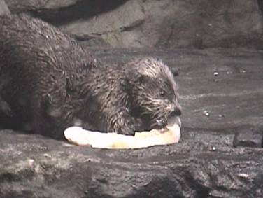 色気より食い気?JPG