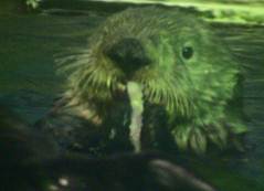 愢柧: 愢柧: 愢柧: 愢柧: 愢柧: 愢柧: 愢柧: 愢柧: 愢柧: 愢柧: 愢柧: 愢柧: 愢柧: 愢柧: 愢柧: 愢柧: 愢柧: 愢柧: 愢柧: 愢柧: 愢柧: 愢柧: 愢柧: 愢柧: 愢柧: 愢柧: mi-3475.jpg