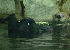 愢柧: 愢柧: 愢柧: 愢柧: 愢柧: 愢柧: 愢柧: 愢柧: 愢柧: 愢柧: 愢柧: 愢柧: 愢柧: 愢柧: 愢柧: 愢柧: 愢柧: 愢柧: 愢柧: 愢柧: 愢柧: 愢柧: 愢柧: 愢柧: 愢柧: 愢柧: mi-IMG_3177.jpg