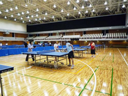 卓球 PING PONG