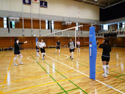 バレーボール VOLLEYBALL