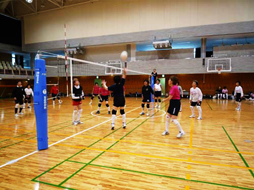 バレーボール VOLLEYBALL