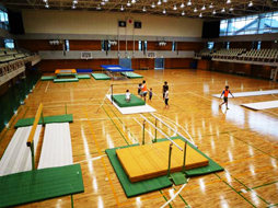 体操 GYMNATICS
