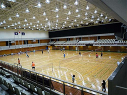 バドミントン BADMINTON
