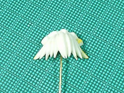 髪は全体にシャープになるよう心がける