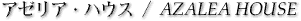 �A�[���A�E�n�E�X